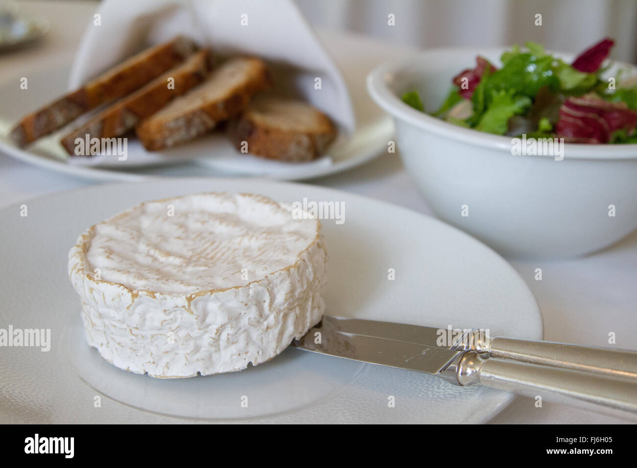 Cremige französischer Camembert Weichkäse Stockfoto