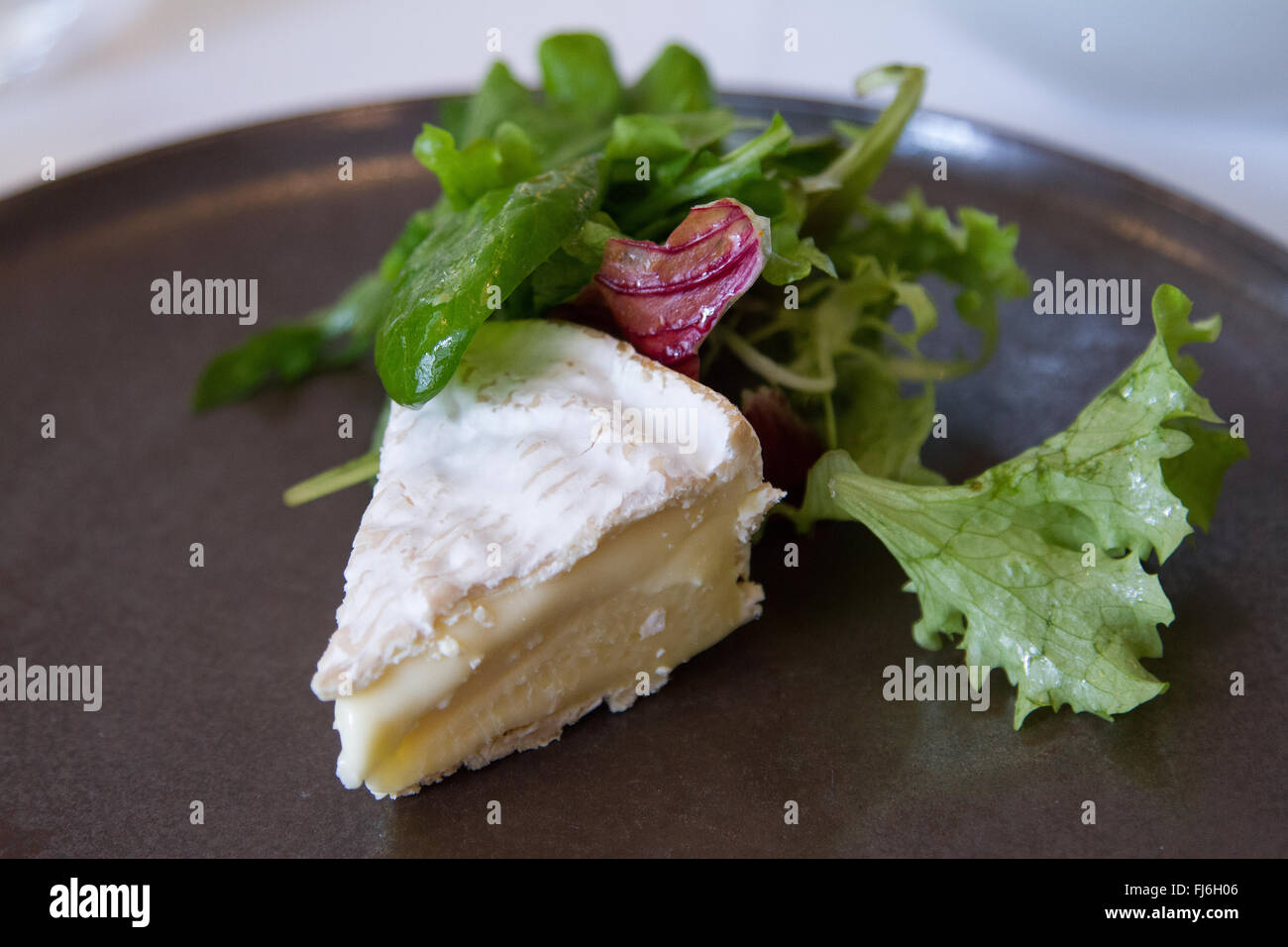 Französischer Camembert Käse mit grünem Salat Stockfoto