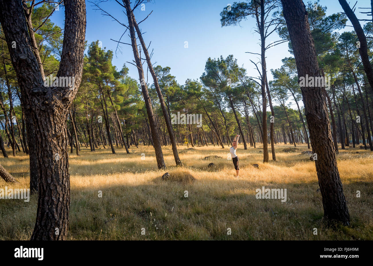 Frau beim Morgen-Yoga im Nadelwald Stockfoto