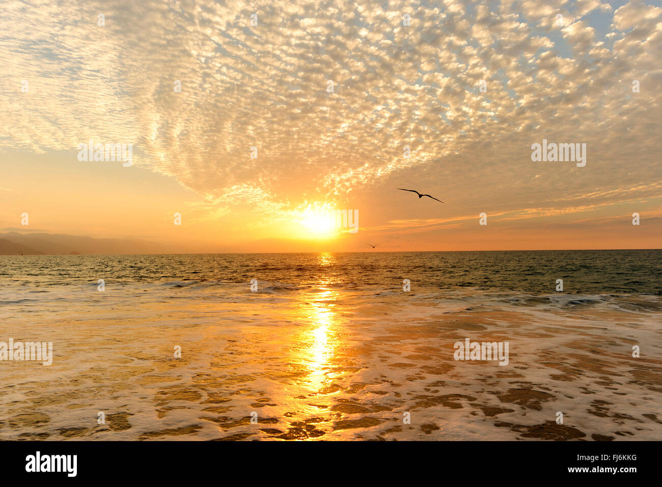 Meer Sonnenuntergang ist Vögel im Flug von Freiheit und Inspiration eine lebendige helle Sonne gegen eine schöne orange sunset Himmel entgegen Stockfoto