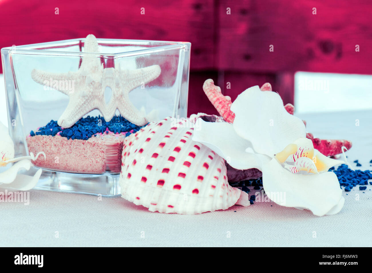 bestimmten Tisch am Meer mit Seesternen und Muscheln Stockfoto