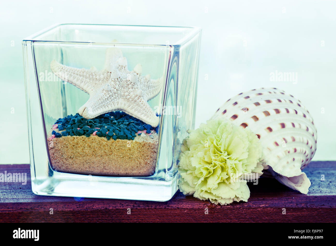 bestimmten Tisch am Meer mit Seesternen und Muscheln Stockfoto