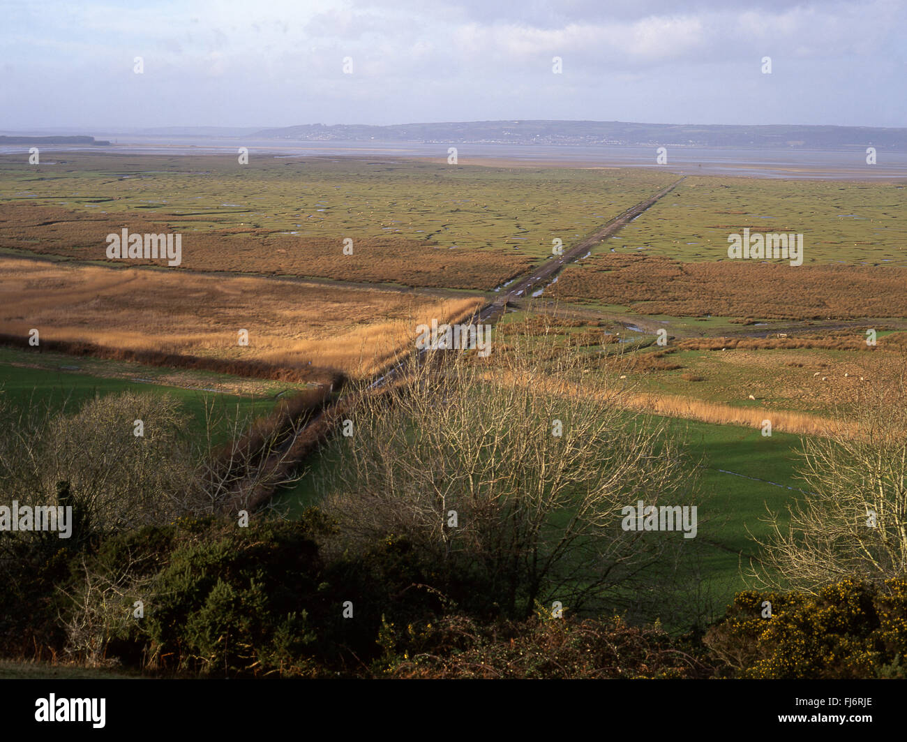 Landimore Marsh Salzwiesen Wohnungen North Gower Halbinsel Burry Inlet Loughor Mündung Blick Richtung Norden über Carmarthenshire Swansea Cou Stockfoto