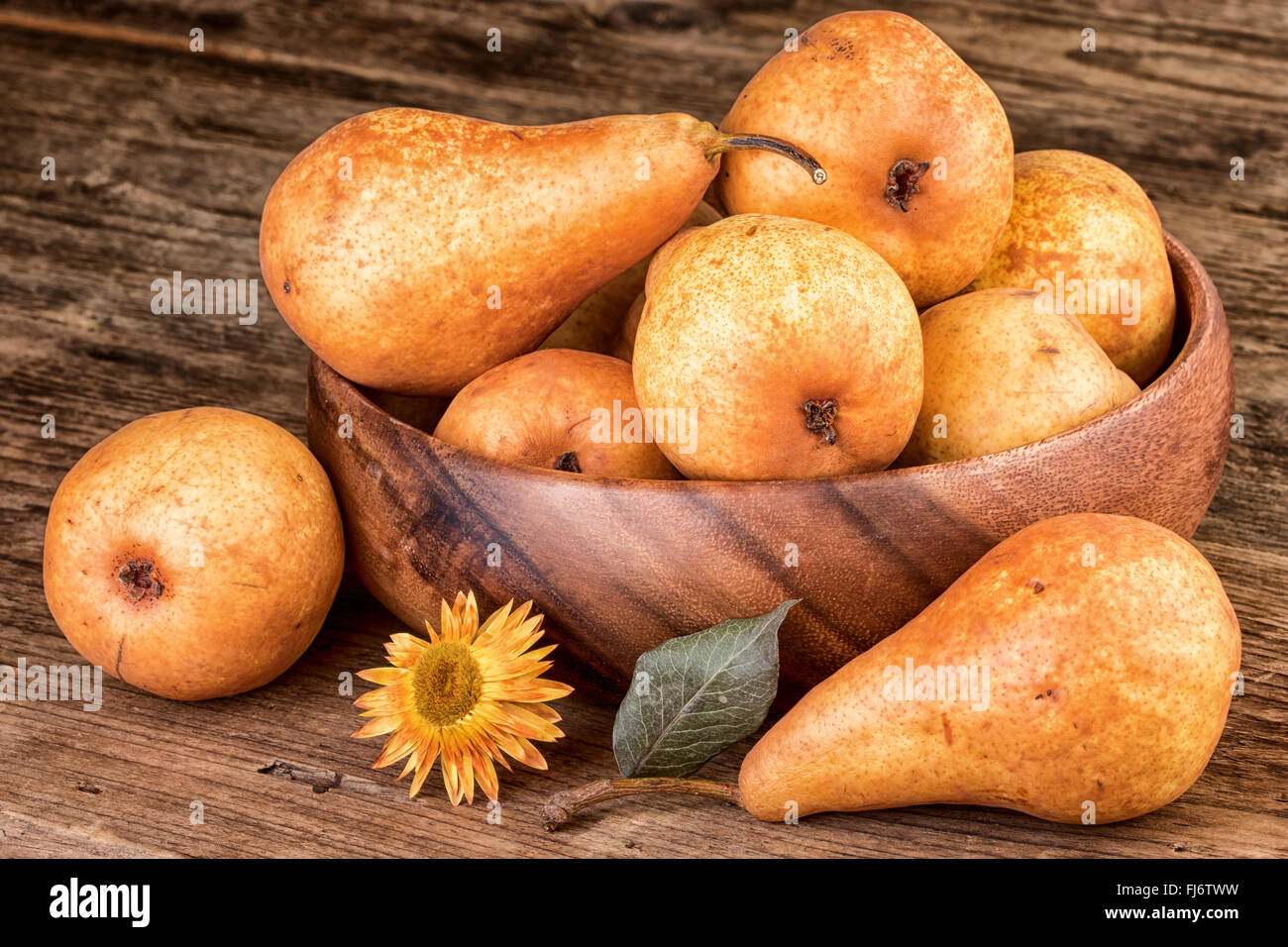 Birnen-Erntedankfest-Dekoration Stockfoto