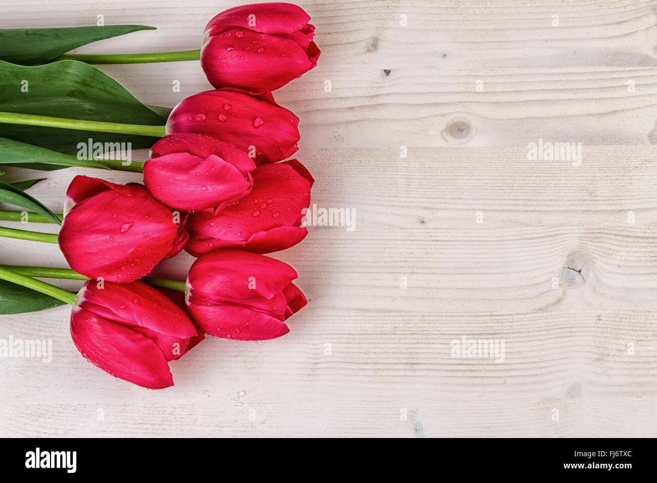 Tulpen rot auf hellem Holz Hintergrund Text Platz Stockfoto