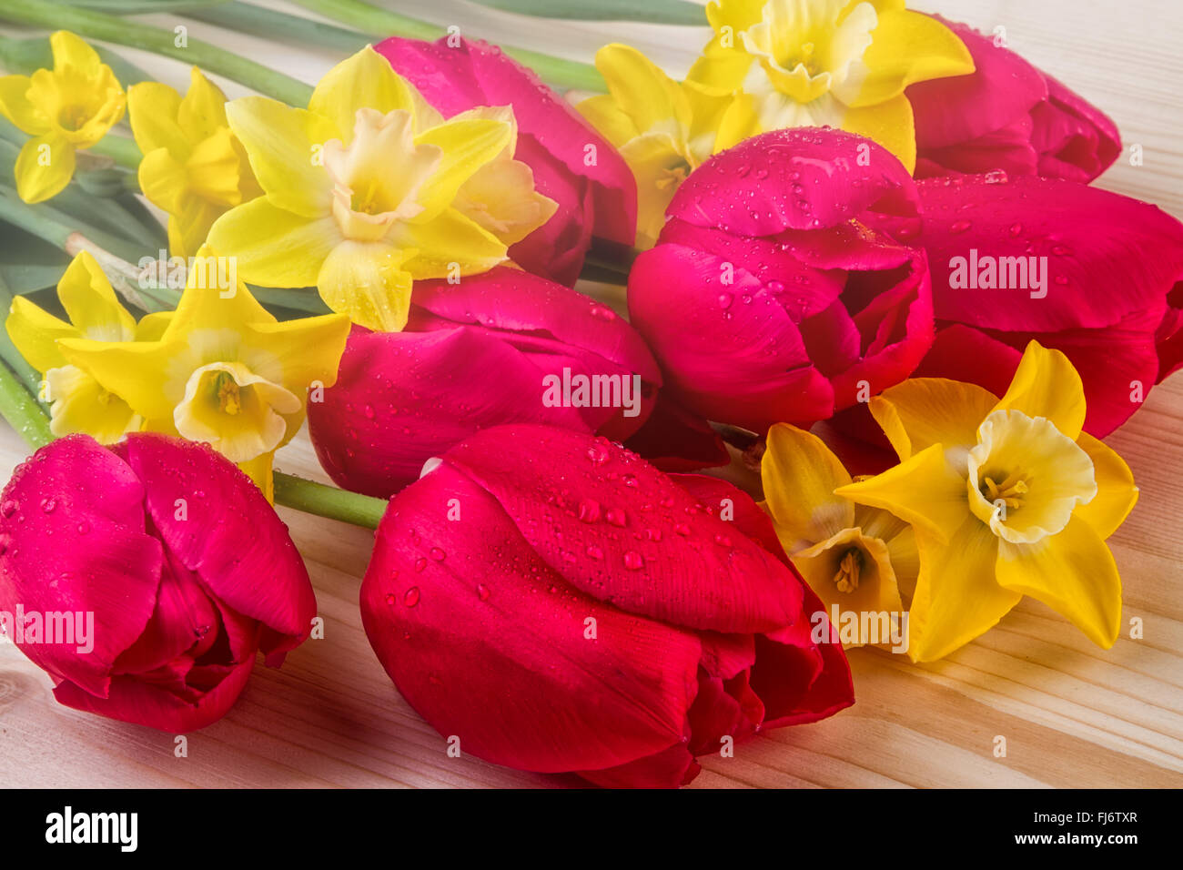 Muttertag Blumen im Frühling Stockfoto