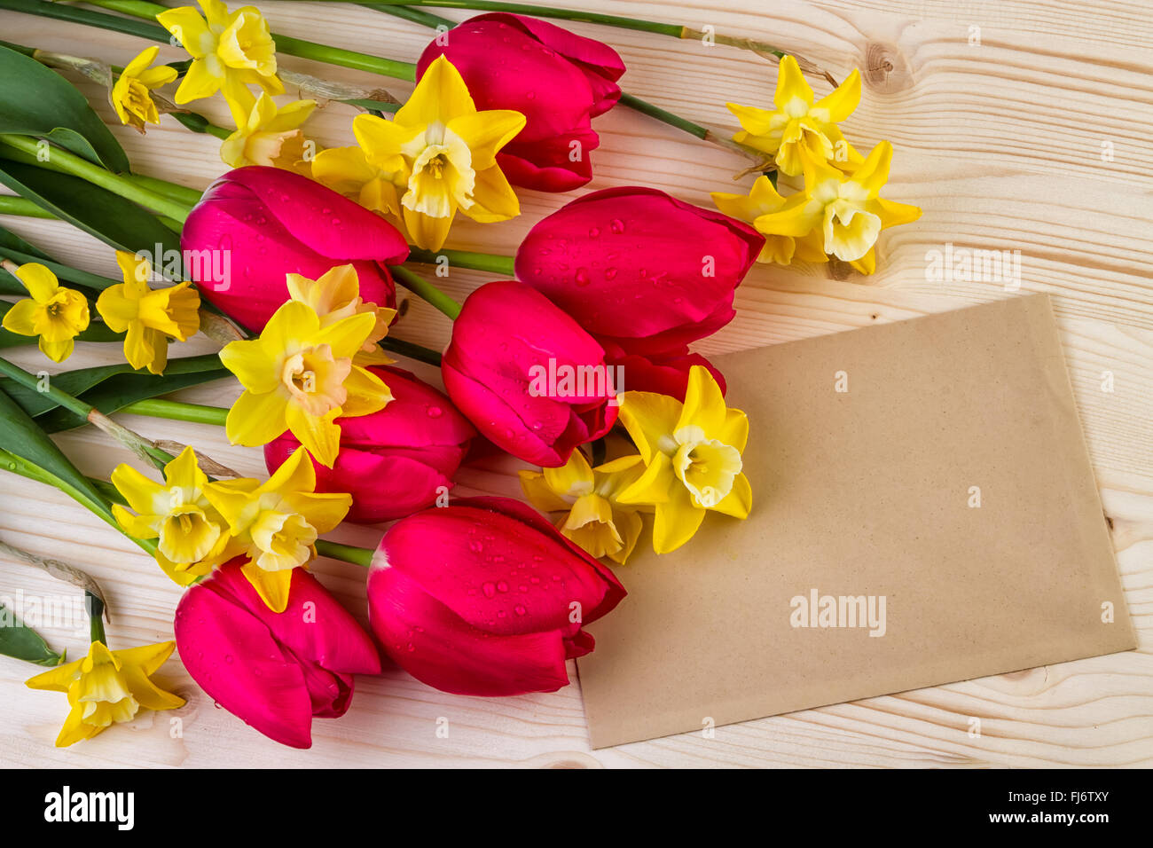 Frühlingsblumen mit Blatt Text Papierbereich Stockfoto
