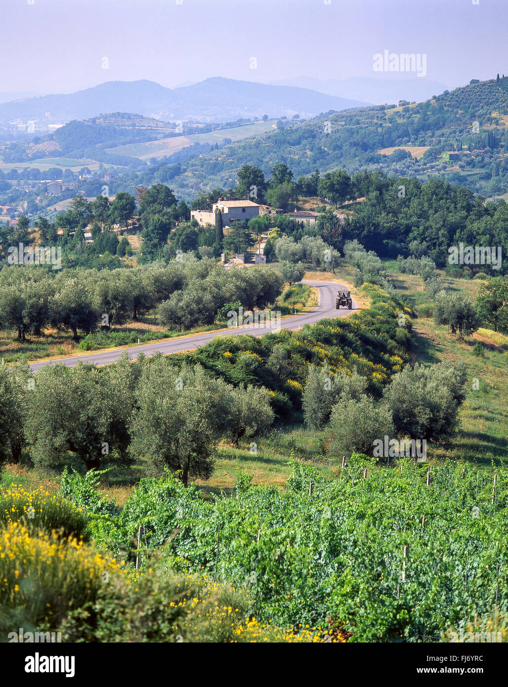 Straße und Landschaft Blick in der Nähe von Assisi, Provinz Perugia, Umbrien Region, Italien Stockfoto