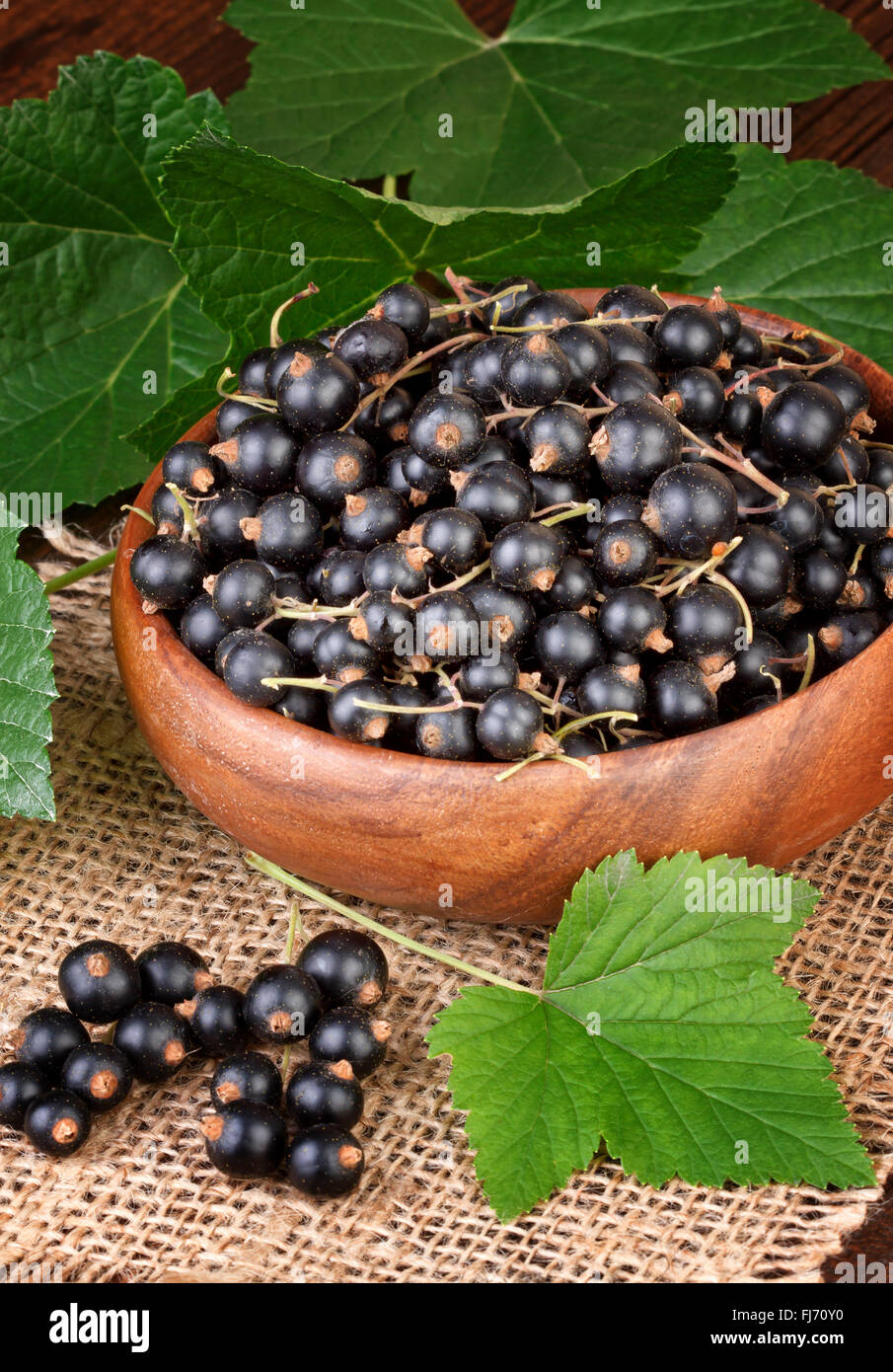 Schwarze Johannisbeere Beeren rustikalen Hintergrund Stockfoto