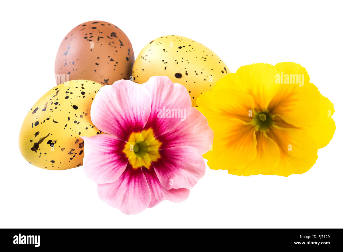 Ostern Dekoration Frühlingsblumen Stockfoto