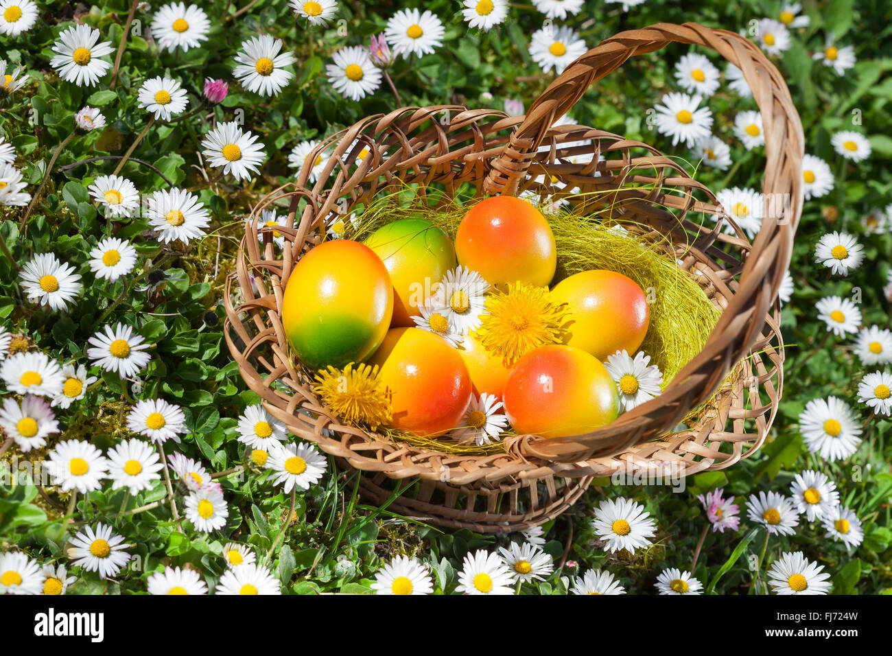 Korb mit Ostern Eiern Dekoration Blumen Wiese Stockfoto