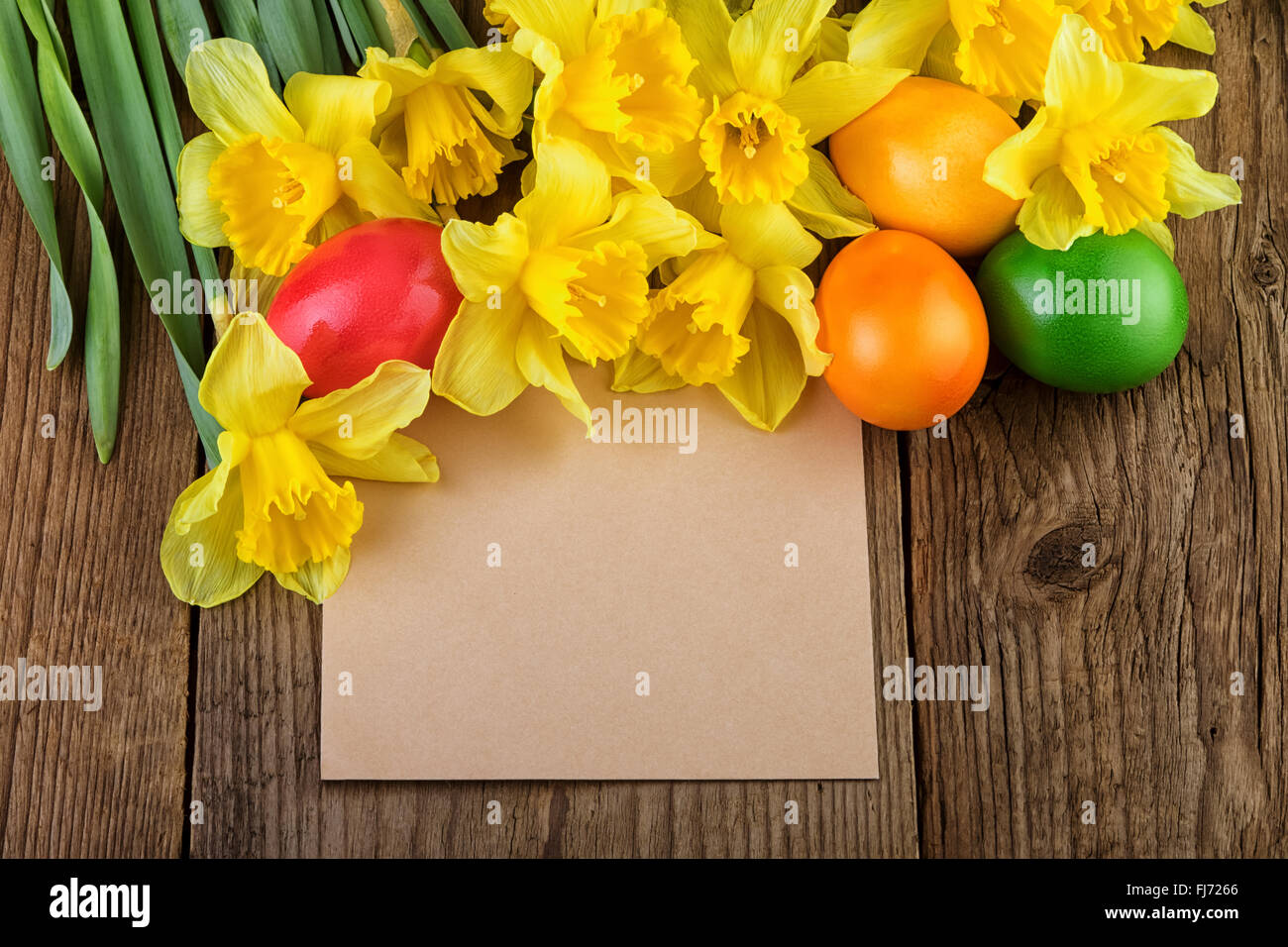 Narzisse Blumen Osterkarte mit Text-Raum Stockfoto