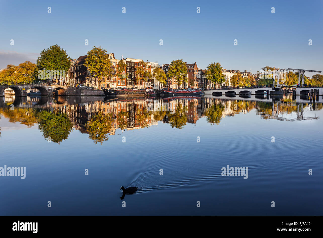 Reflexion von Bäumen und Häusern im ruhigen Wasser des Flusses Amstel, Amsterdam, Netherdlands. Stockfoto