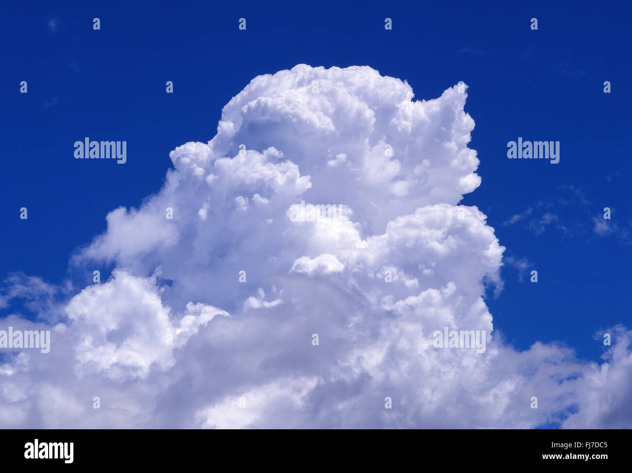 Weißen Cumulus-Wolken und blauer Himmel, Berkshire, England, Vereinigtes Königreich Stockfoto