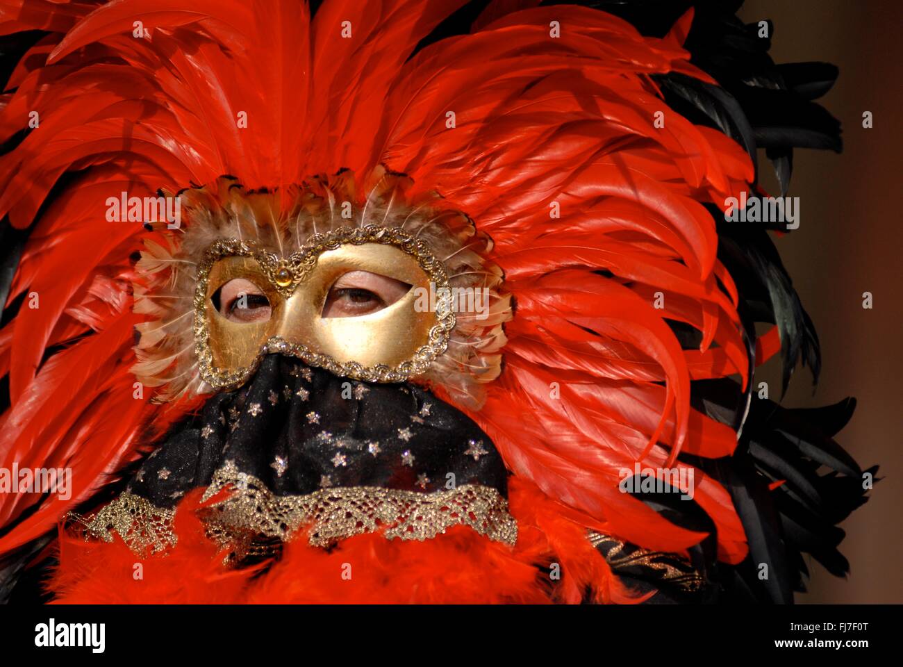 Eine Frau trägt eine aufwendige venezianische Maske und Kostüm während des jährlichen Karnevals von Venedig in Venedig, Italien. Karneval läuft offiziell für 10 Tage auf die christliche Feier der Fastenzeit endet. Stockfoto