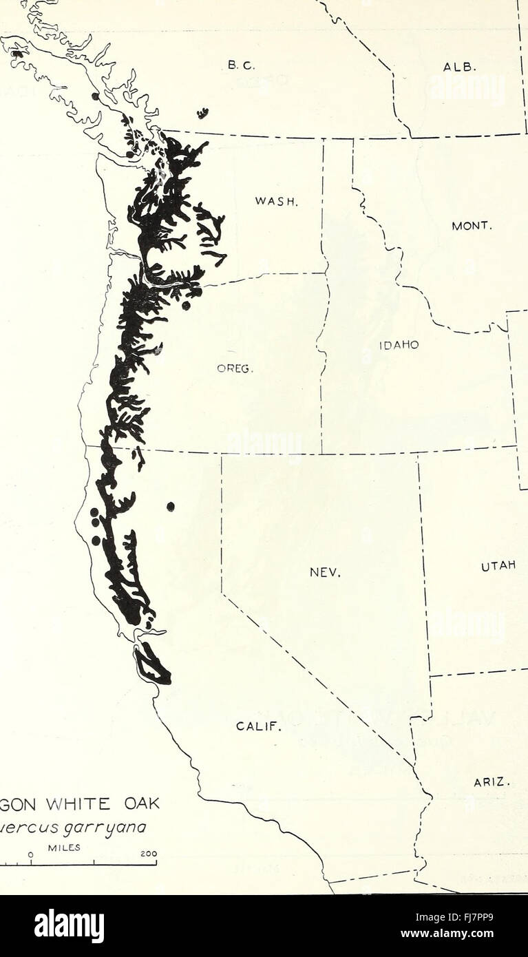 Die Verteilung der wichtigen Waldbäume der Vereinigten Staaten (1938) Quercus garryana Stockfoto