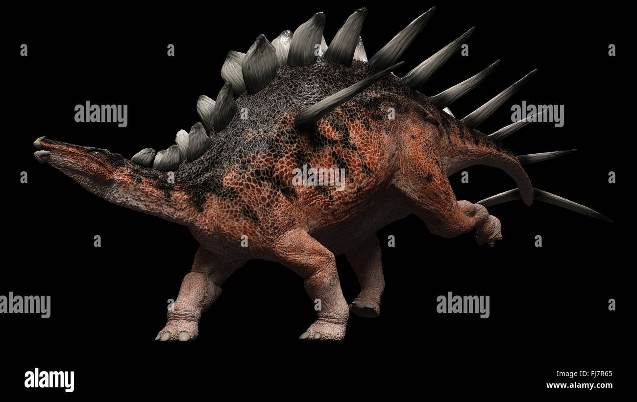Kentrosaurus ist eine Gattung des Stegosauriden-Dinosauriers aus dem Spätjura in der Region Lindi in Tansania. Stockfoto