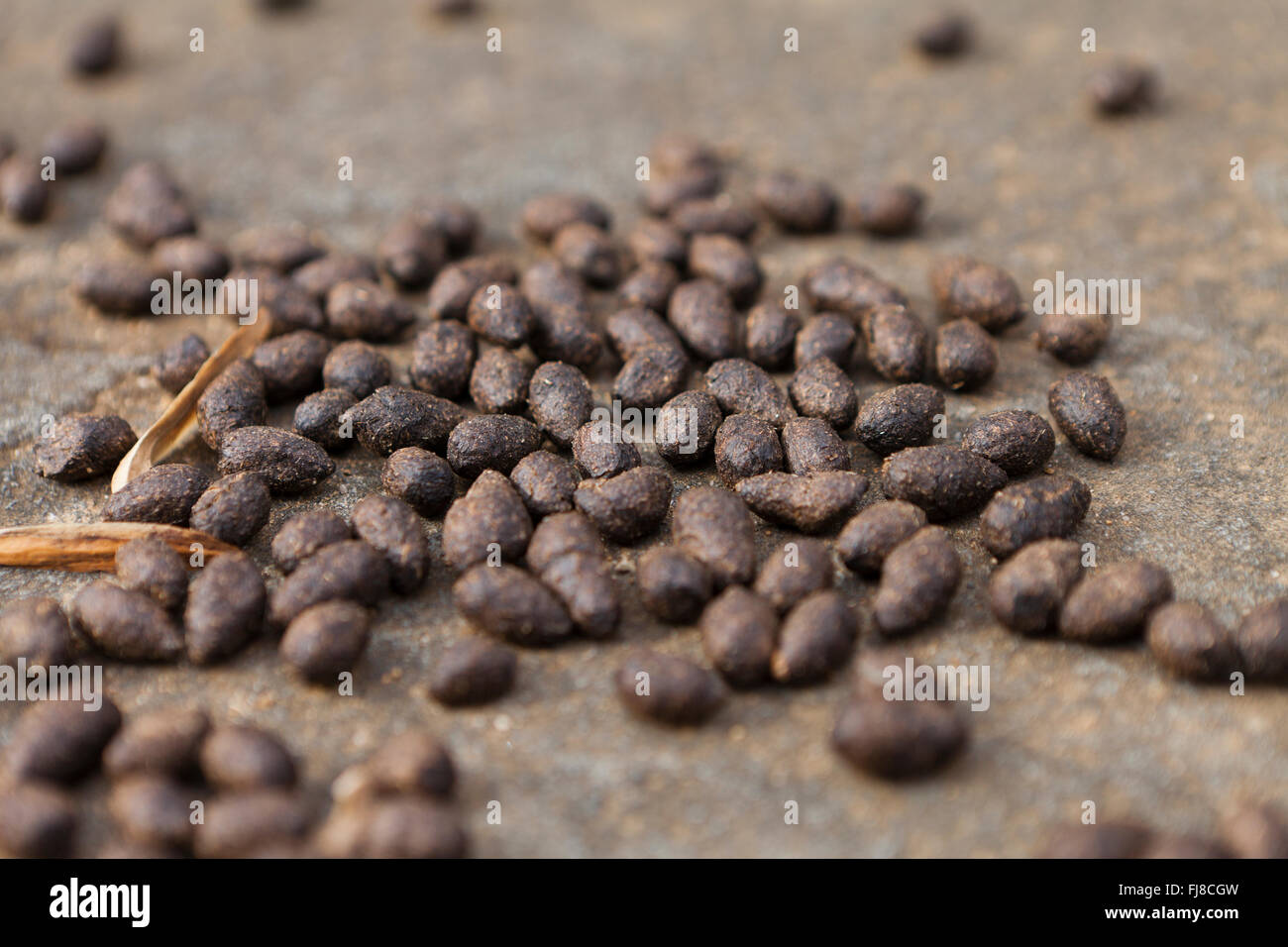 Hirschkot Stockfotos Und Bilder Kaufen Alamy