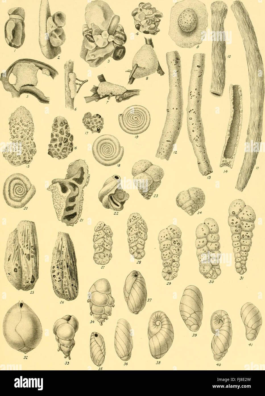 Dieses historische Dokument aus dem Jahr 1932 enthält Berichte, in denen die Entdeckungen während dieses Zeitraums detailliert dargestellt werden. Es umfasst eine Vielzahl wissenschaftlicher Erkenntnisse, technologischer Fortschritte und Explorationen, die den Fortschritt des Wissens während des frühen 20. Jahrhunderts veranschaulichen. Stockfoto