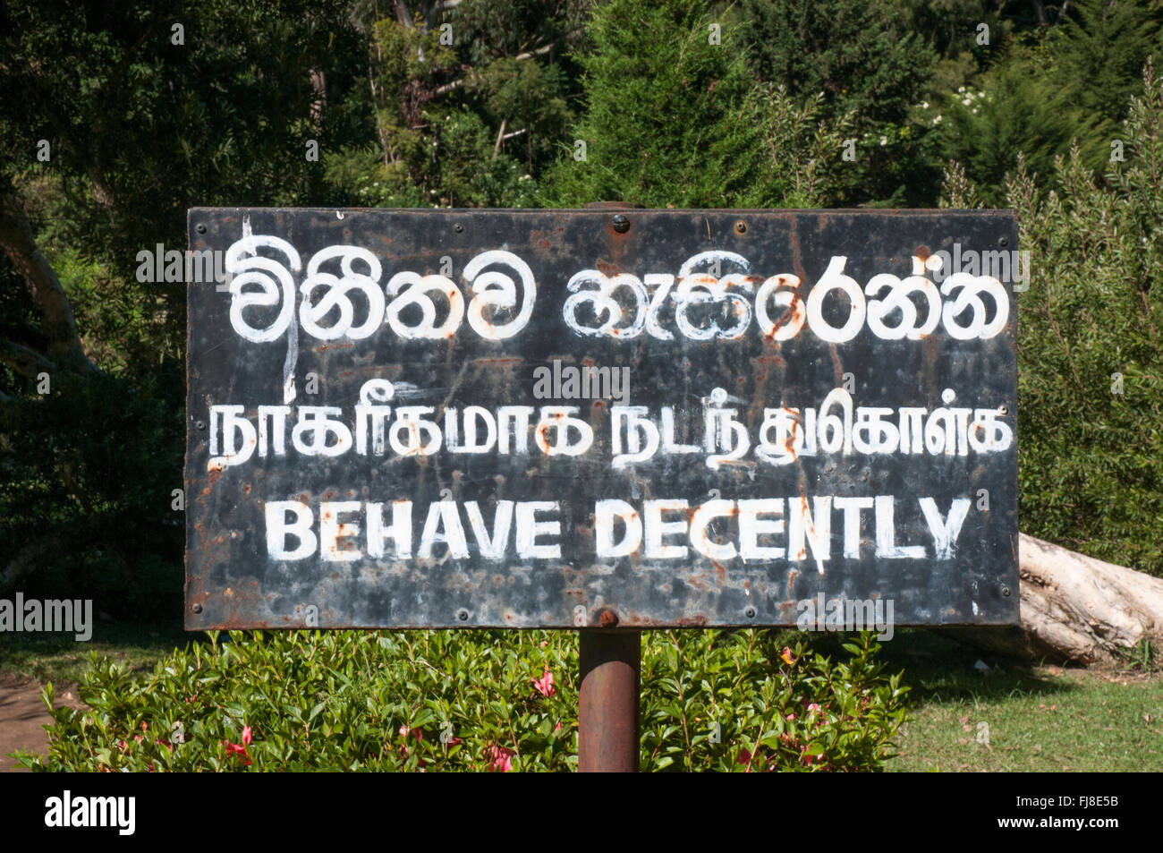 Dreisprachiges Schild in einem Park in der Kolonialzeit Hillstation Nuwara Eliya, Sri Lanka Stockfoto