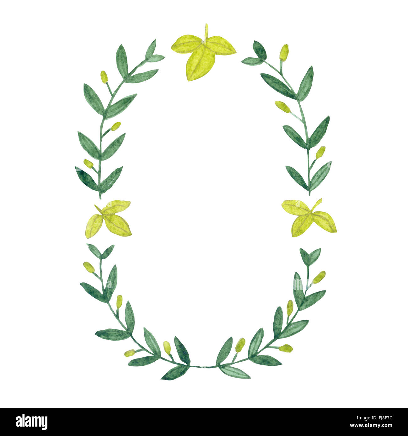Aquarell Olive Kranz. Isolierte Darstellung auf weißem Hintergrund. Biologische und natürliche Konzept. Stockfoto