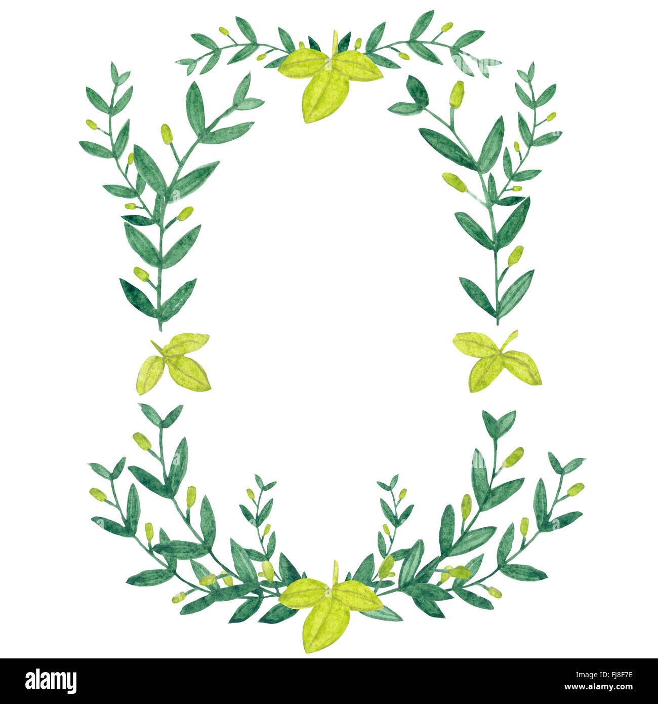 Aquarell Olive Kranz. Isolierte Darstellung auf weißem Hintergrund. Biologische und natürliche Konzept. Stockfoto