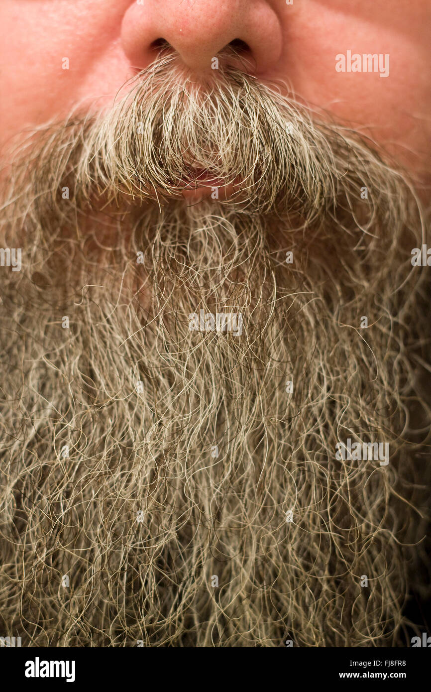 Ein Mann Nase unter denen ist, einen vollen Bart oder Schnurrbart und sehr langen grauen Bart Stockfoto