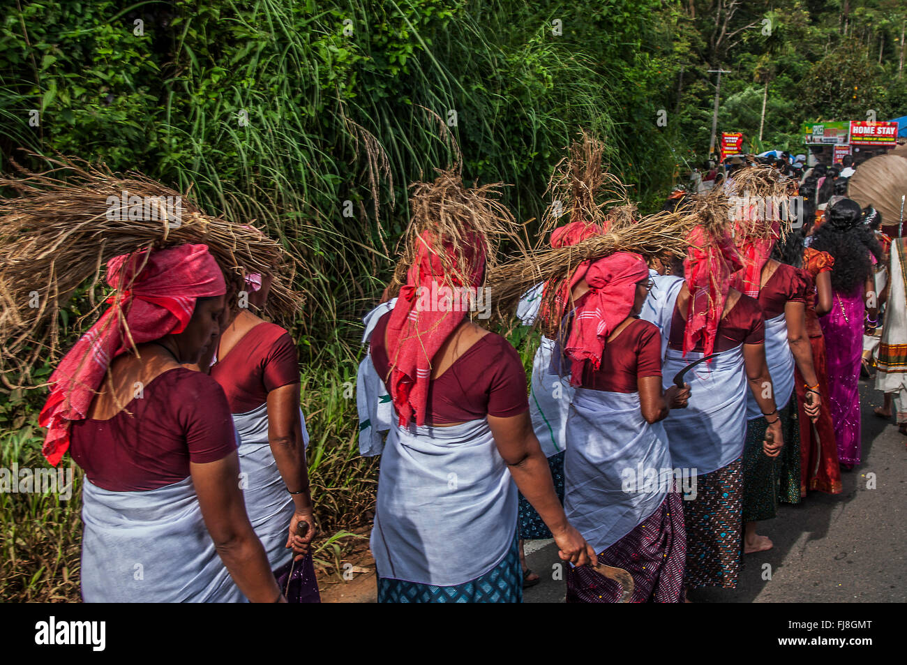 Frau mit Trockenrasen auf Kopf, Kerala, Indien, Asien Stockfoto