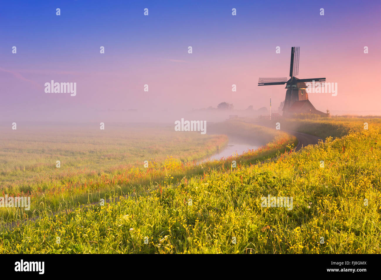 Eine traditionelle holländische Windmühle bei Sonnenaufgang an einem schönen nebligen Morgen. Stockfoto