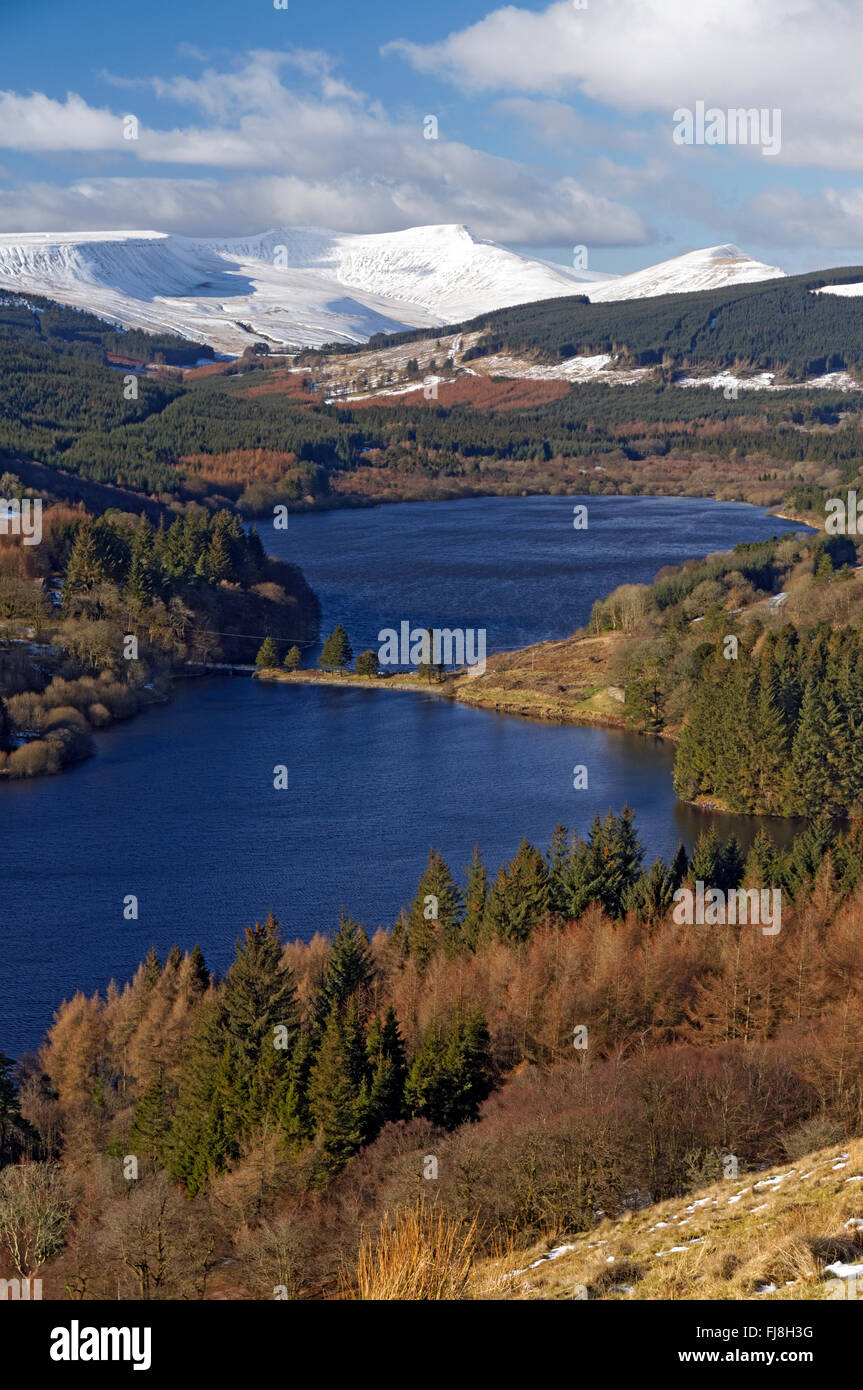 TAF Fechan Stauseen, Brecon Beacons National Park, Powys, Wales, UK. Stockfoto