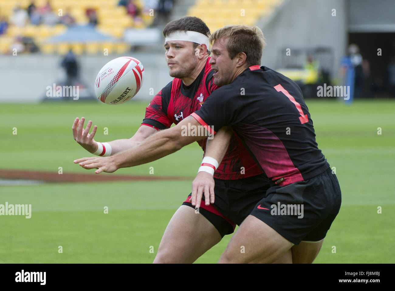 HSBC Sevens World Series XVII Runde 3 (Wellington) - Wales vs. Argentinien im Westpac Stadium - Tag 1 mit: Atmosphäre wo: Wellington, New Zealand bei: 29. Januar 2016 Stockfoto