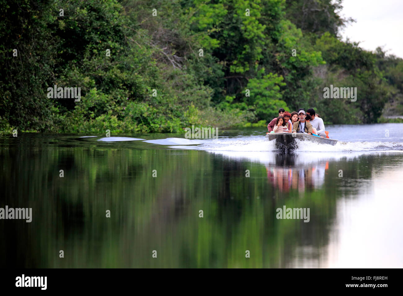 Touristische Reise, Pantanal, Eco freundliche Fluss Safari, Natur, Entdeckung, entspannend, Pantanal, Mato Grosso, Brasilien, Südamerika Stockfoto