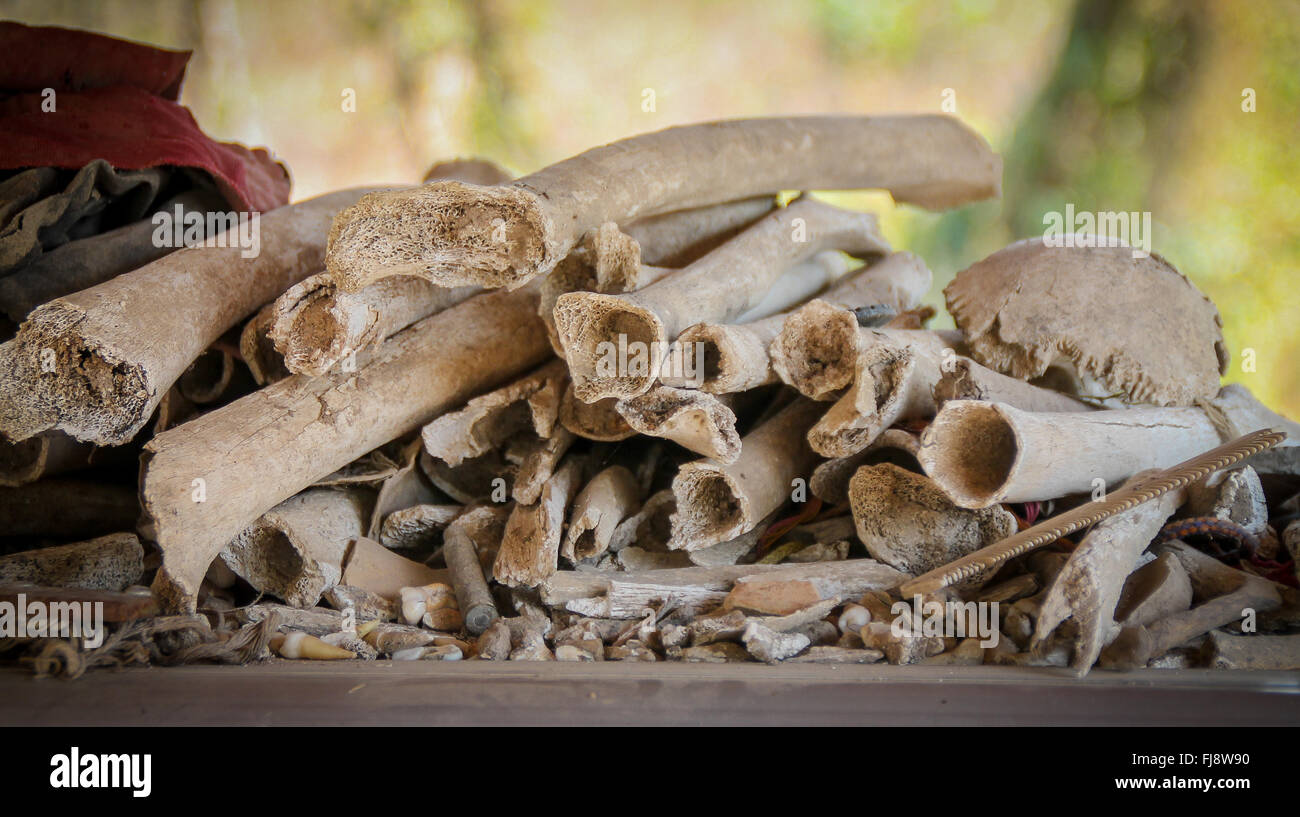 Haufen Knochen im Gehäuse die Killing Fields, Phnom Penh Stockfoto