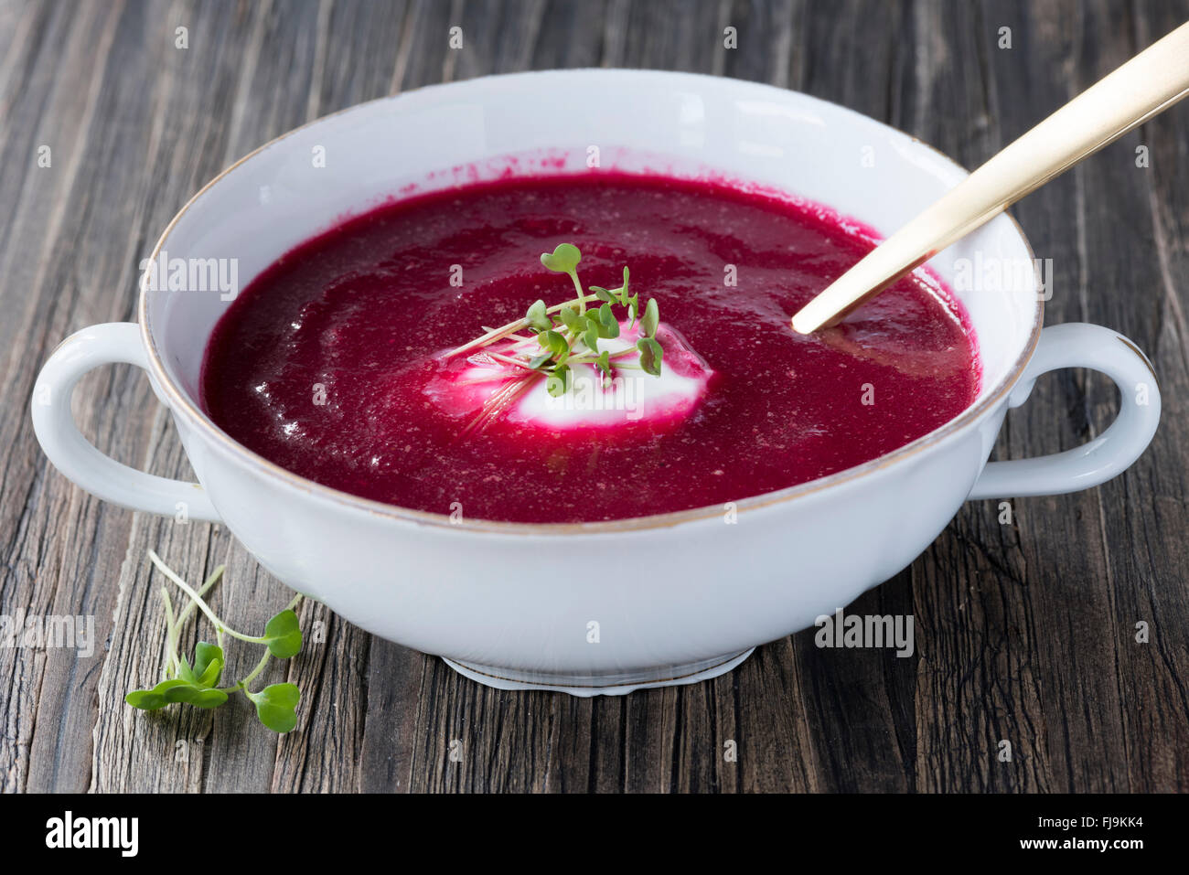 Köstliche rote Bete Suppe Stockfoto