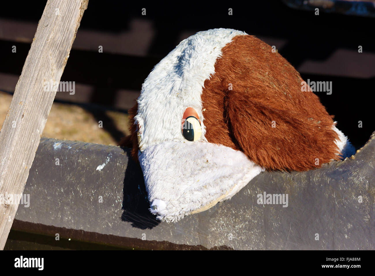 Ein traurig aussehende Spielzeug Welpe seinen Kopf auf einigen Trümmern hängen und wegschauen. Pelz ist verschmutzt. Vielleicht verloren Spielzeug von jemand verpasst. Stockfoto