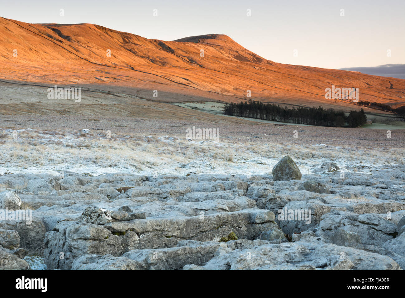 Wintersonne auf Whernside, eines der Yorkshire Dales drei Gipfel Stockfoto