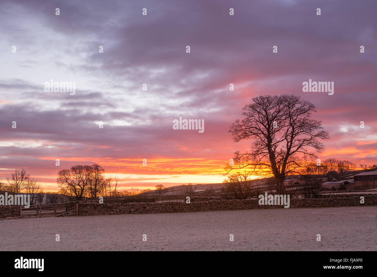 Winter-Sonnenaufgang in Wensleydale Stockfoto