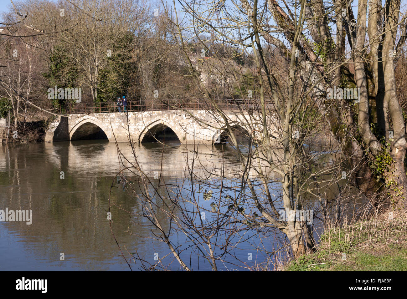 Barton Bridge, Bradford on Avon, Wiltshire, Großbritannien Stockfoto