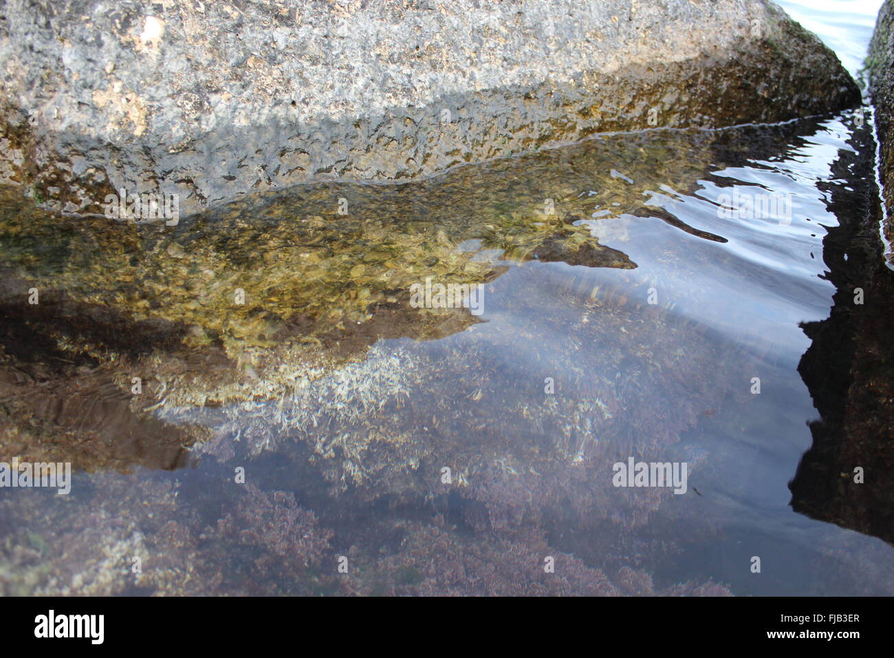 Meerwasser geht durch Felsen Stockfoto