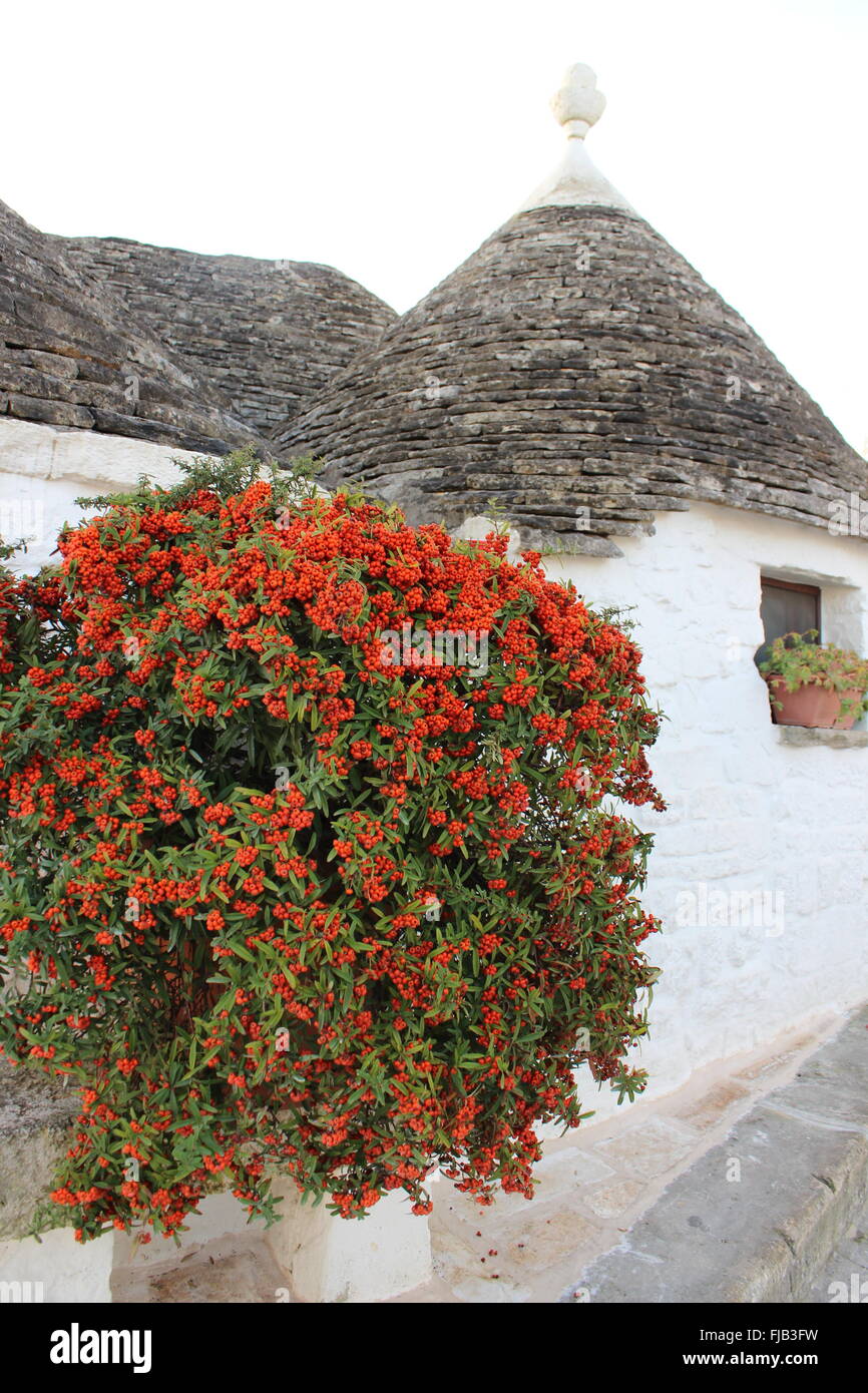 weiße Stein Dach Top und rote Blumen Stockfoto