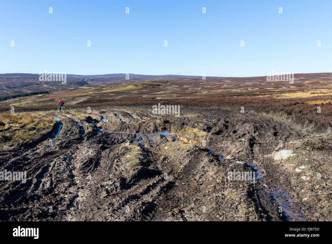 Verursacht Schaden und Erosion von 4 x 4 Geländewagen und Wetter Ärzte Gate Green Lane Hamsterley Forest Weardale County Durham Stockfoto