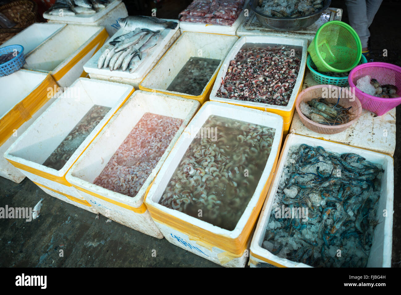 Garnelen und Garnelen zum Verkauf Mandalay Myanmar // MANDALAY, Myanmar — verschiedene Arten von Garnelen und Garnelen werden auf einem Fisch- und Blumenmarkt in der Nähe der Pulaing Street in Mandalay zum Verkauf angeboten. Der Markt dient als zentraler Drehscheibe für frische Meeresfrüchte und Produkte in Myanmars zweitgrößter Stadt. Mandalay liegt im Zentrum von Myanmar am Ayeyarwady River (auch bekannt als Irrawaddy) und ist ein bedeutendes Handelszentrum und ehemalige königliche Hauptstadt. Die Märkte der Stadt spiegeln die vielfältigen kulinarischen Traditionen der Region wider, wo Süßwasser- und Meeresfrüchte eine wichtige Rolle in der lokalen Küche spielen. Mandalay Division ist Stockfoto