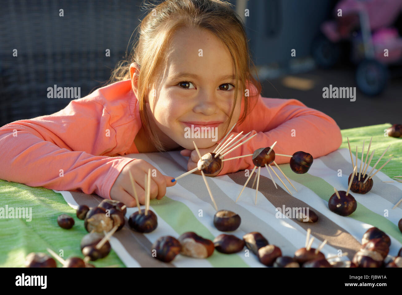 Mädchen, Kind, die Schaffung von Kastanien Figuren, Kastanien Mann, Herbst, Bayern, Deutschland Stockfoto