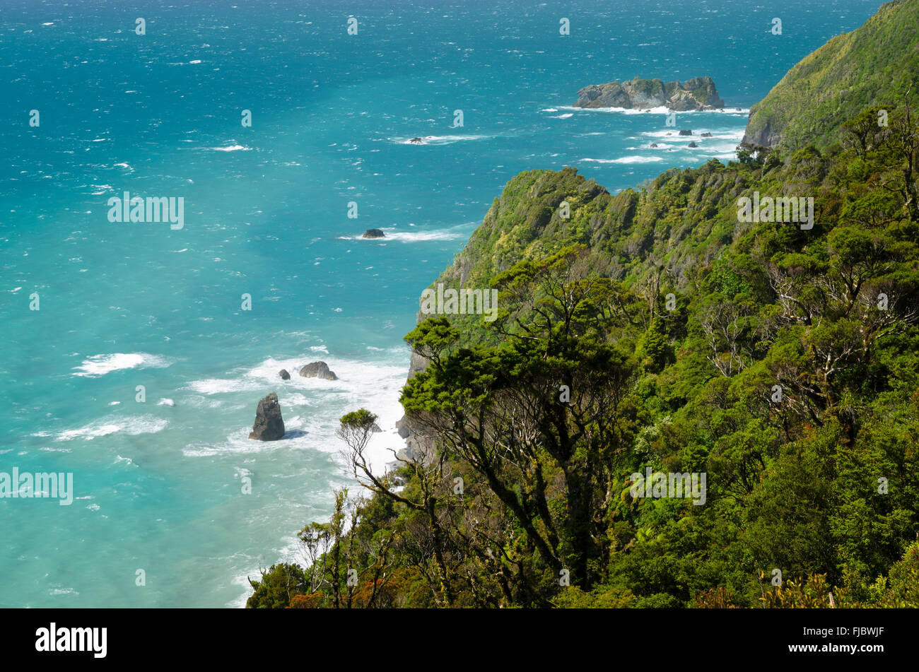 Wilde Küste mit Brandung, Regenwald mit Dichter Vegetation, türkisfarbene Meer, West Coast, Südinsel, Neuseeland Stockfoto