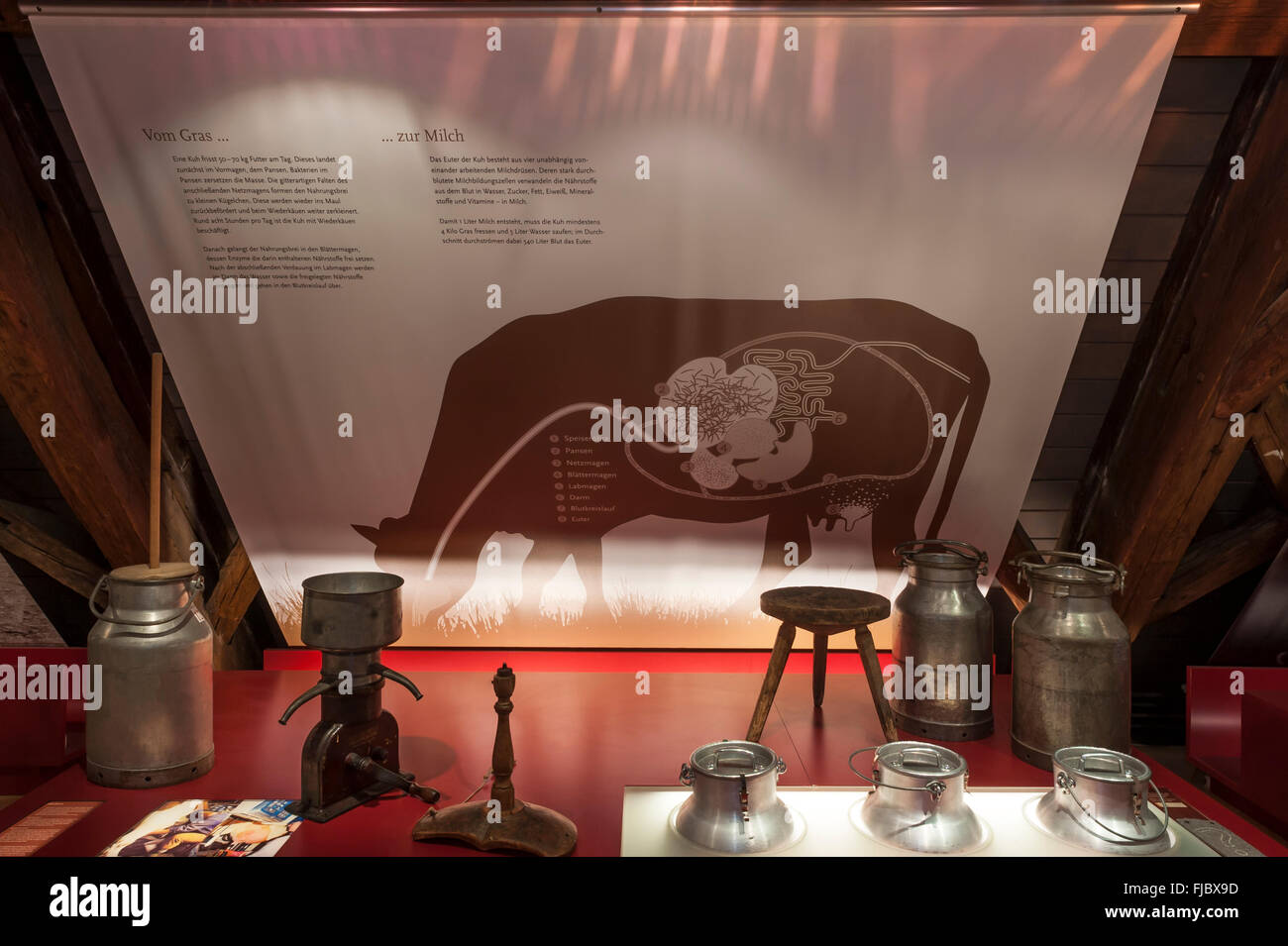 Permanente Ausstellungsräume, interaktive Ausstellung von Mensch und Tier, verschiedenen Milchkannen in den Vordergrund, Deutsches Stockfoto