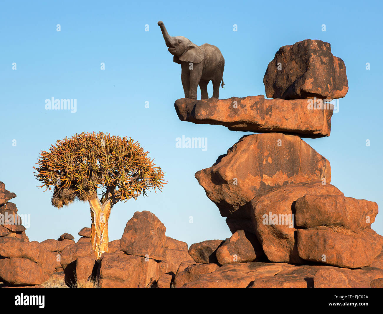 Balance-Akt Stockfoto