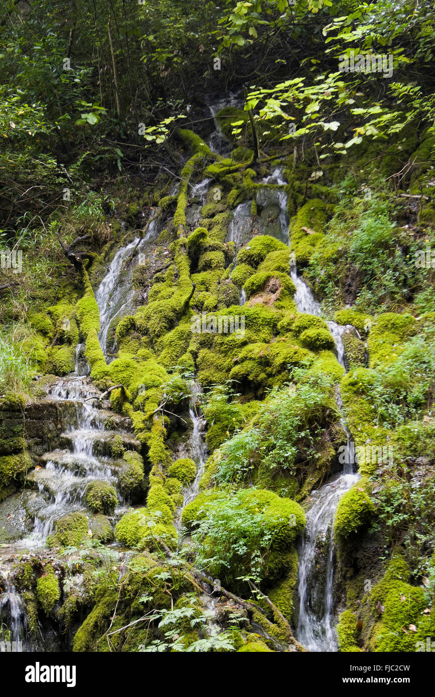 Val di Tenno, fließendes Wasser, Moos, Riva del Garda, Gardasee, Trentino, Italien Stockfoto