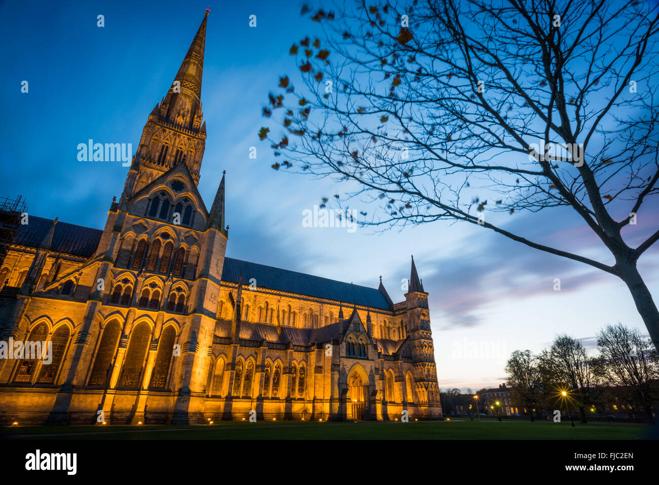 Kathedrale von Salisbury in der Nacht Stockfoto