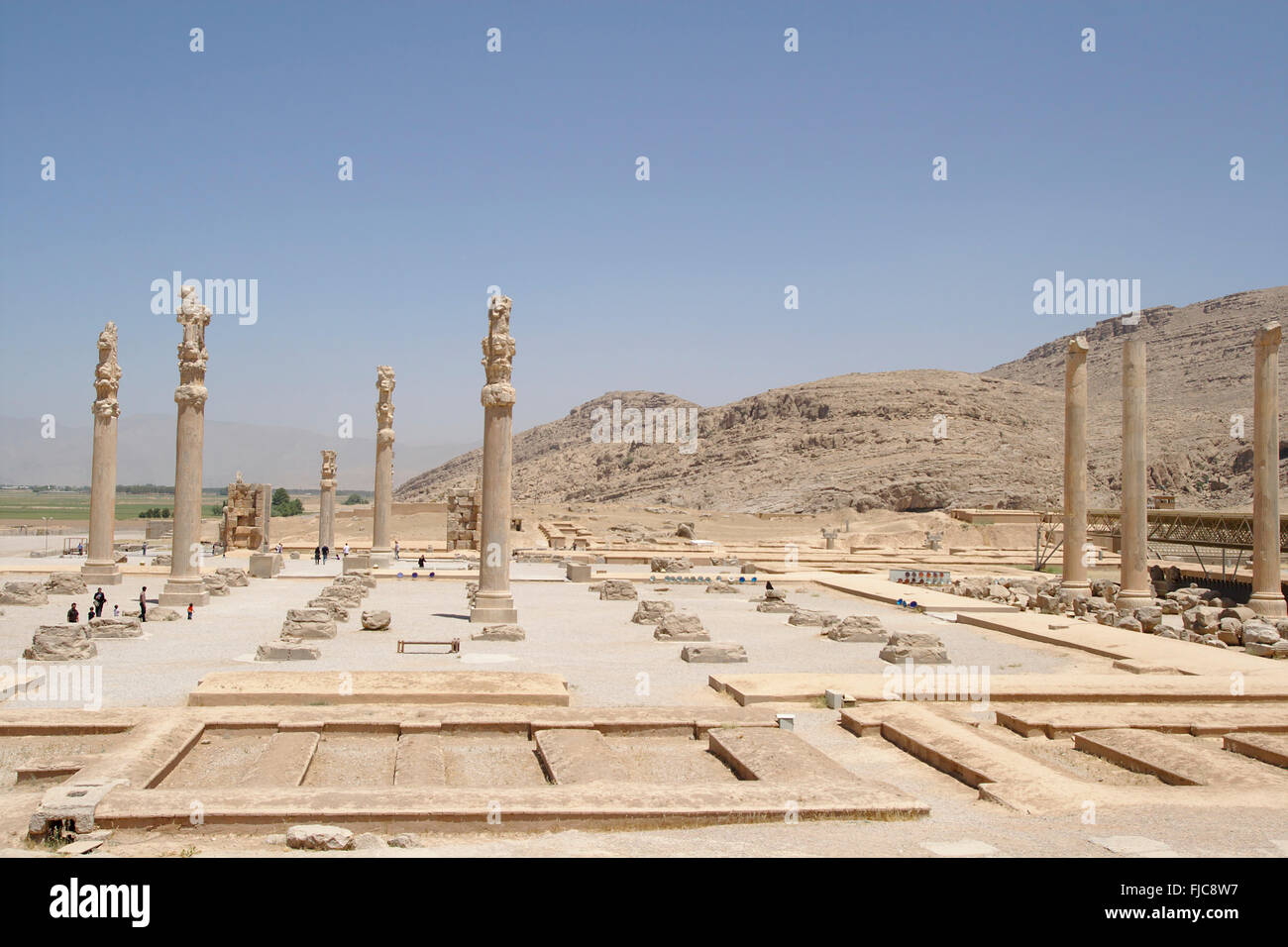 Spalten der Apadana Palast, Persepolis, Iran Stockfoto