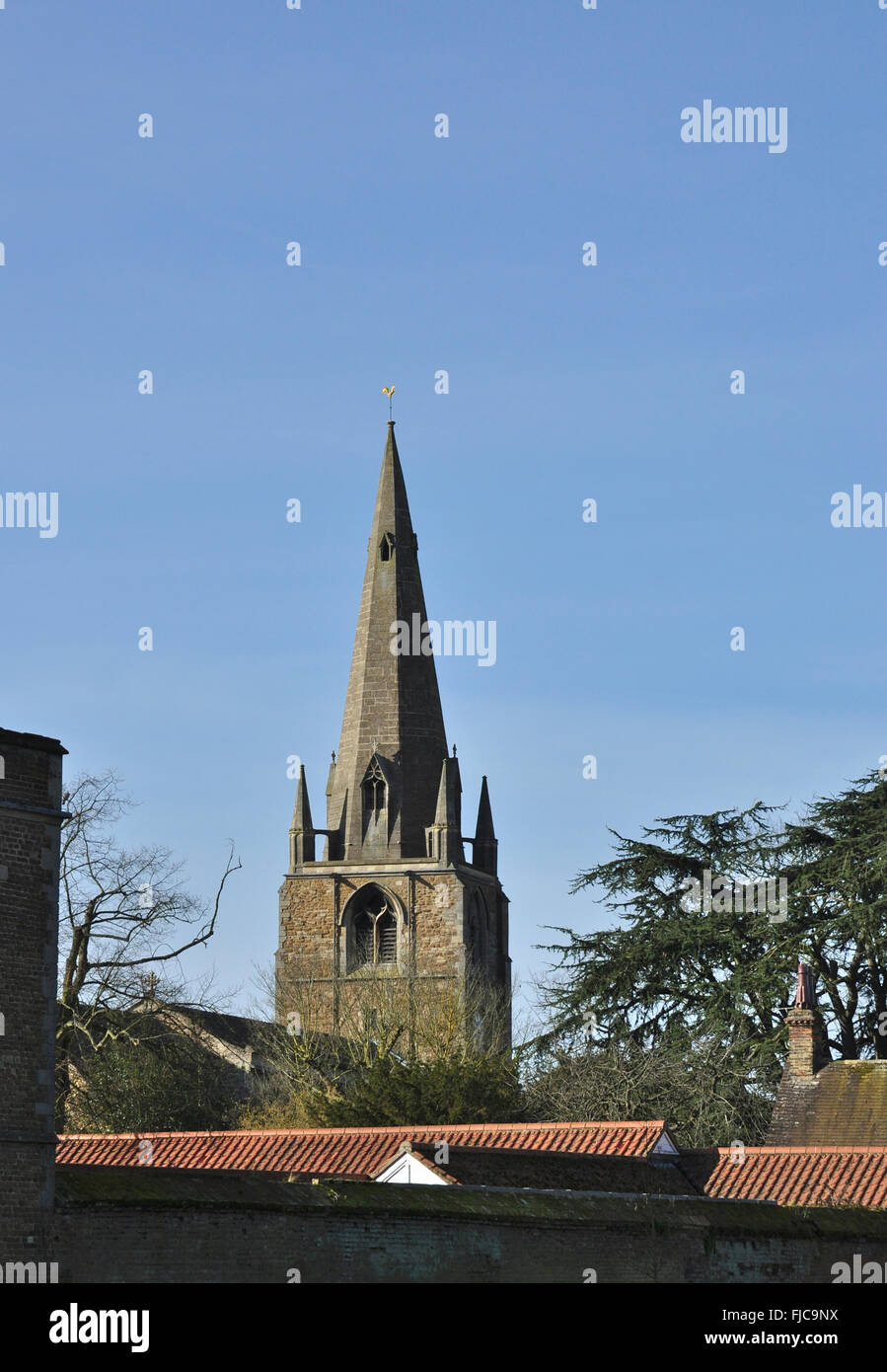 St. Marien Kirche, Ely, Cambridgeshire, England, Vereinigtes Königreich Stockfoto